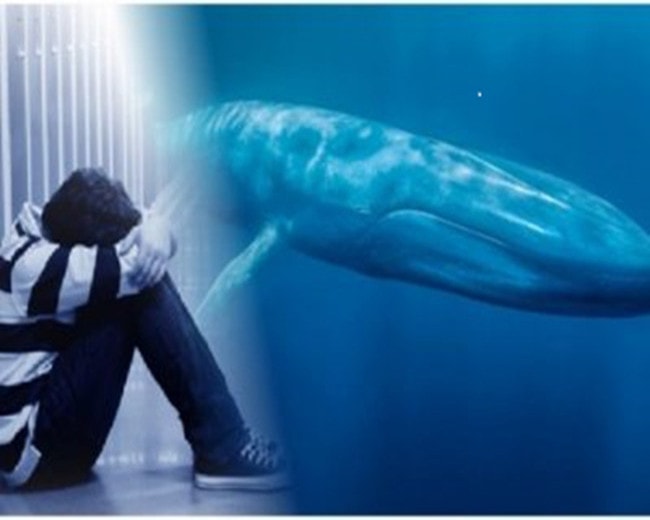 Foto-montagem de jovem sobre imagem de baleia azul