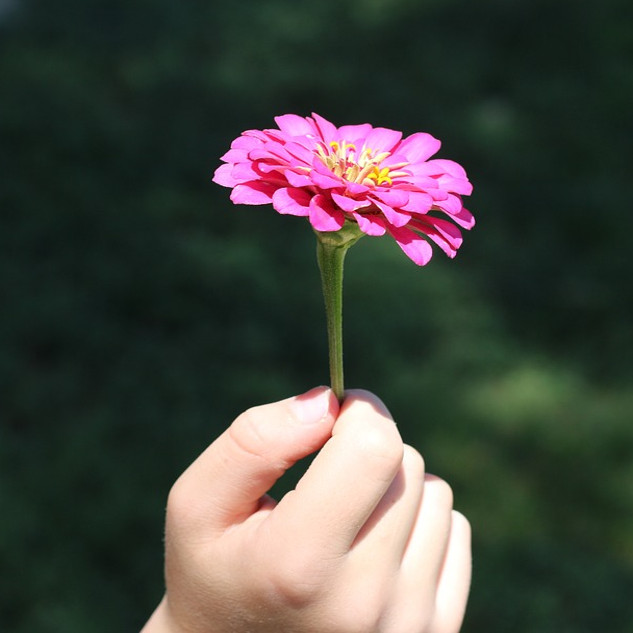 foto de uma mão oferecendo uma flor