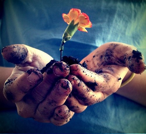 mãos sujas de barro oferecendo uma flor