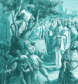 Gravura de Zaqueu, o Publicano