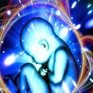 Foto-montagem de feto humano