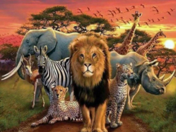 Imagem mostrando vários animais reunidos em uma estrada ante um pôr do sol.